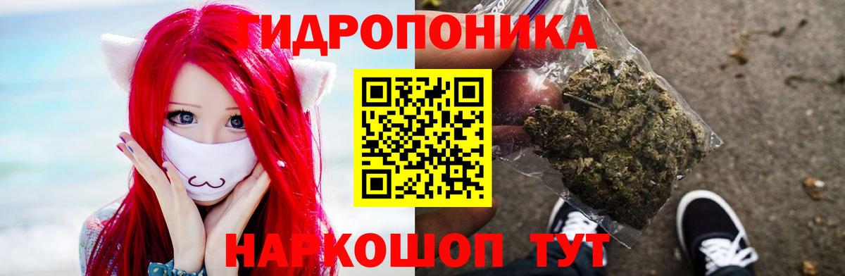 Каннабис Bruce Banner  Канабис семена  Вход с VPN  Конопля планчик  Бошки Шишки LSD WEED  Орёл 